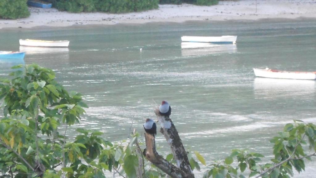 Seychelles Anse Boileau Exterior foto